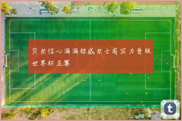 贝尔信心满满称威尔士有实力晋级世界杯正赛